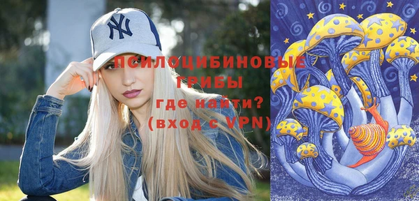 ECSTASY Покачи