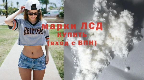 гашик Аркадак