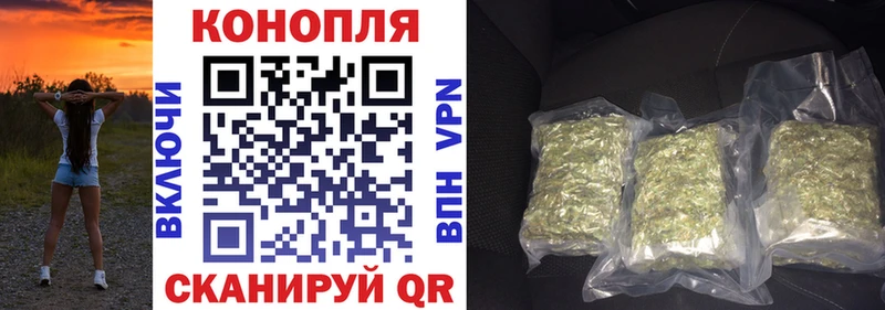 mega как войти  Камышлов  Каннабис THC 21%  это телеграм  что такое  